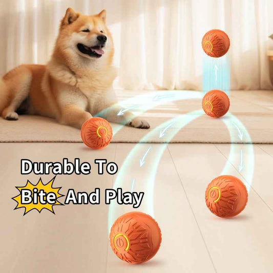 Electric Jumping Ball for Dogs – Automatic Teasing Toy with Luminous Features for Pet Training and Fun