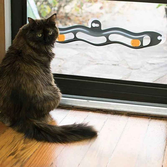 Windowsill Cat Track Ball Toy for Pets - Engaging Playtime Activity