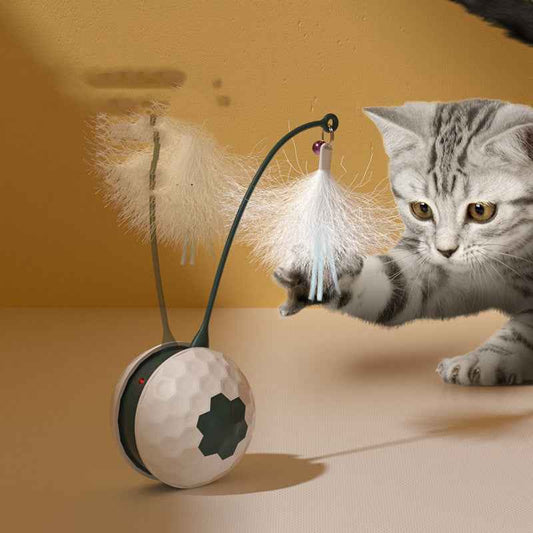 Enjoying Electric Cat Toys - Intelligent Bite Resistant Pet Products for Cats