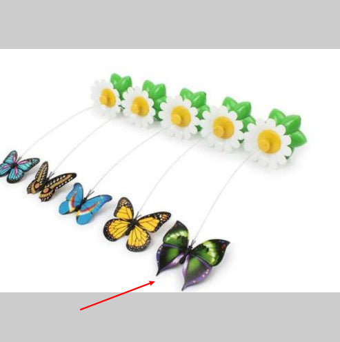 Electric Automatic Rotating Flower Pet Products - SKY WORLD CART