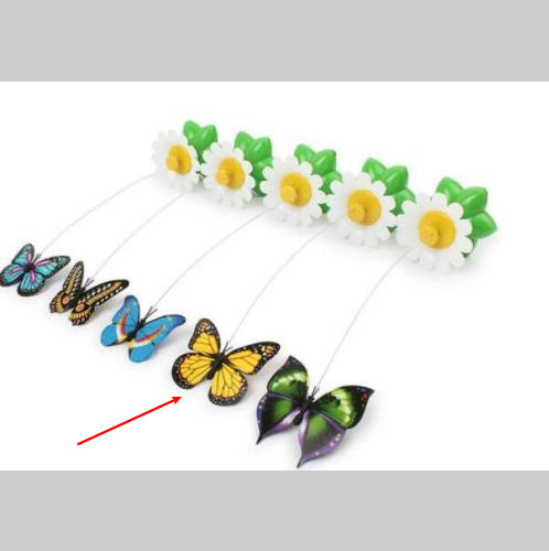Electric Automatic Rotating Flower Pet Products - SKY WORLD CART
