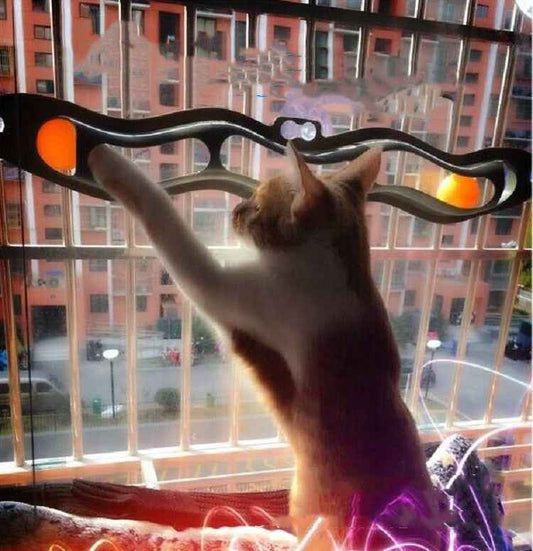 Windowsill Cat Track Ball Toy for Pets - Engaging Playtime Activity