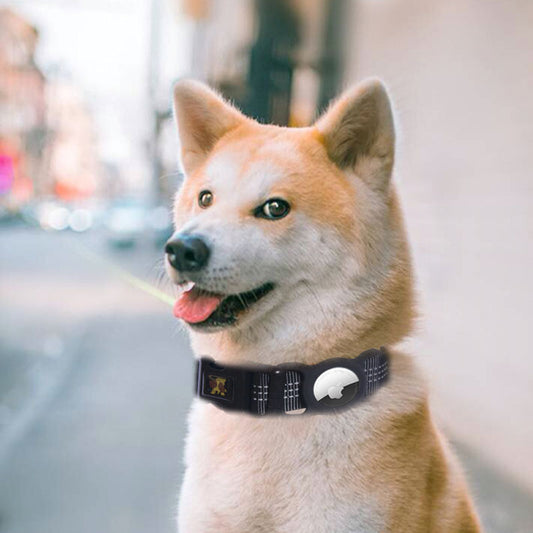 Pet Products Mobile Phone Tracker Protector - SKY WORLD CART